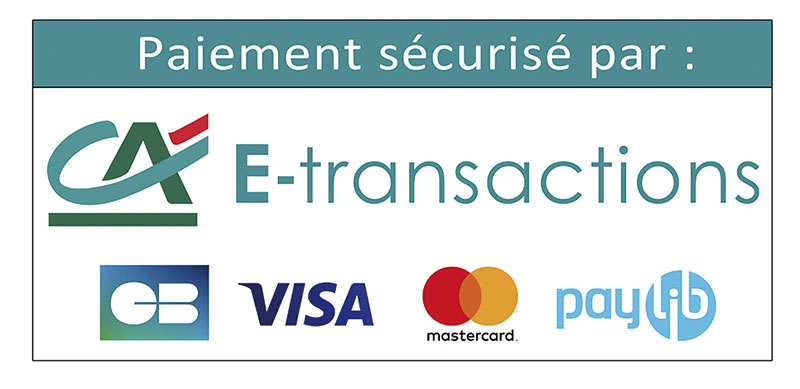 ca-e-transactions-cb-visa-mastercard