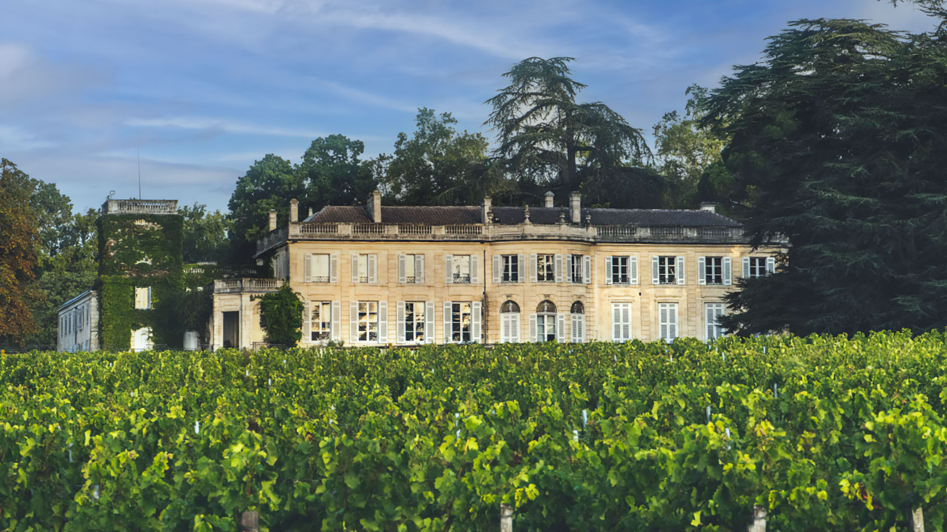 CHÂTEAU DU TAILLAN