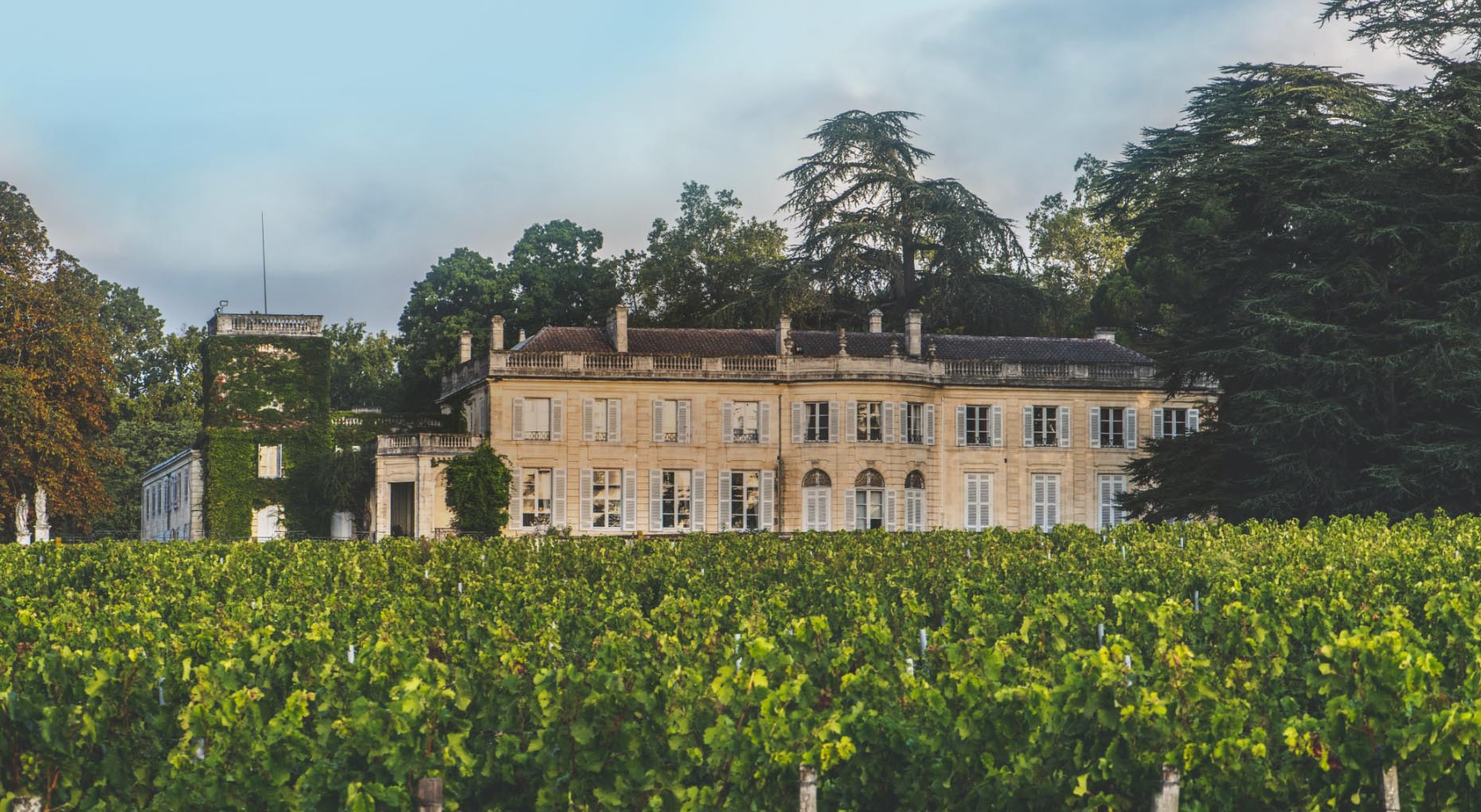 CHÂTEAU DU TAILLAN - Vins de Bordeaux Haut-Médoc
