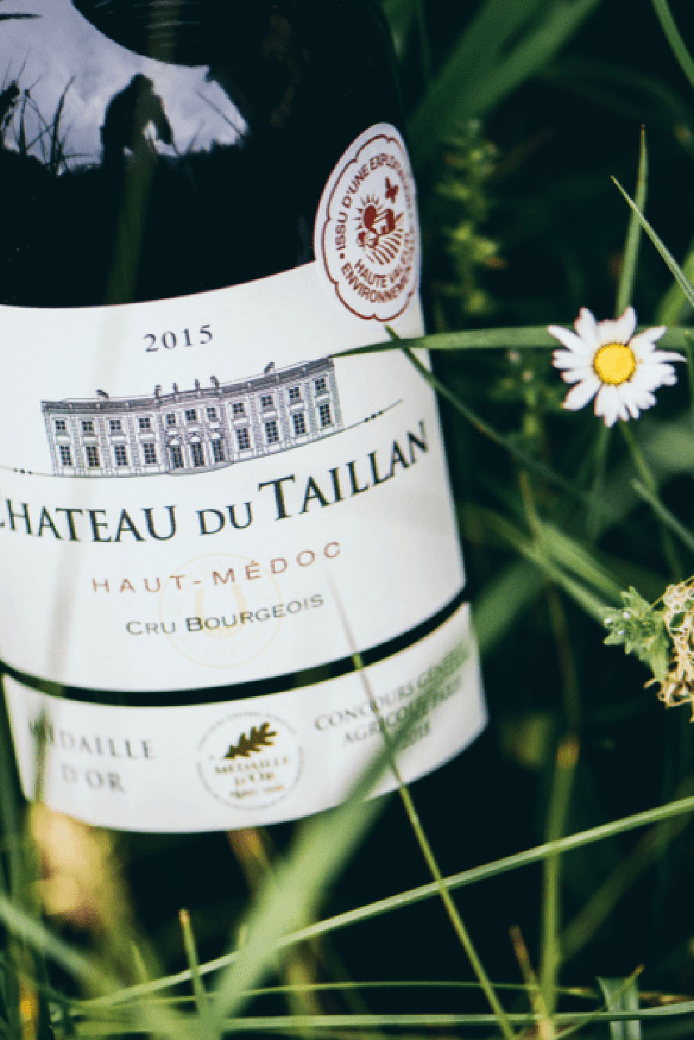 Our wines – Château du Taillan