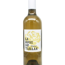 Rose du Taillan Généreuse 2023