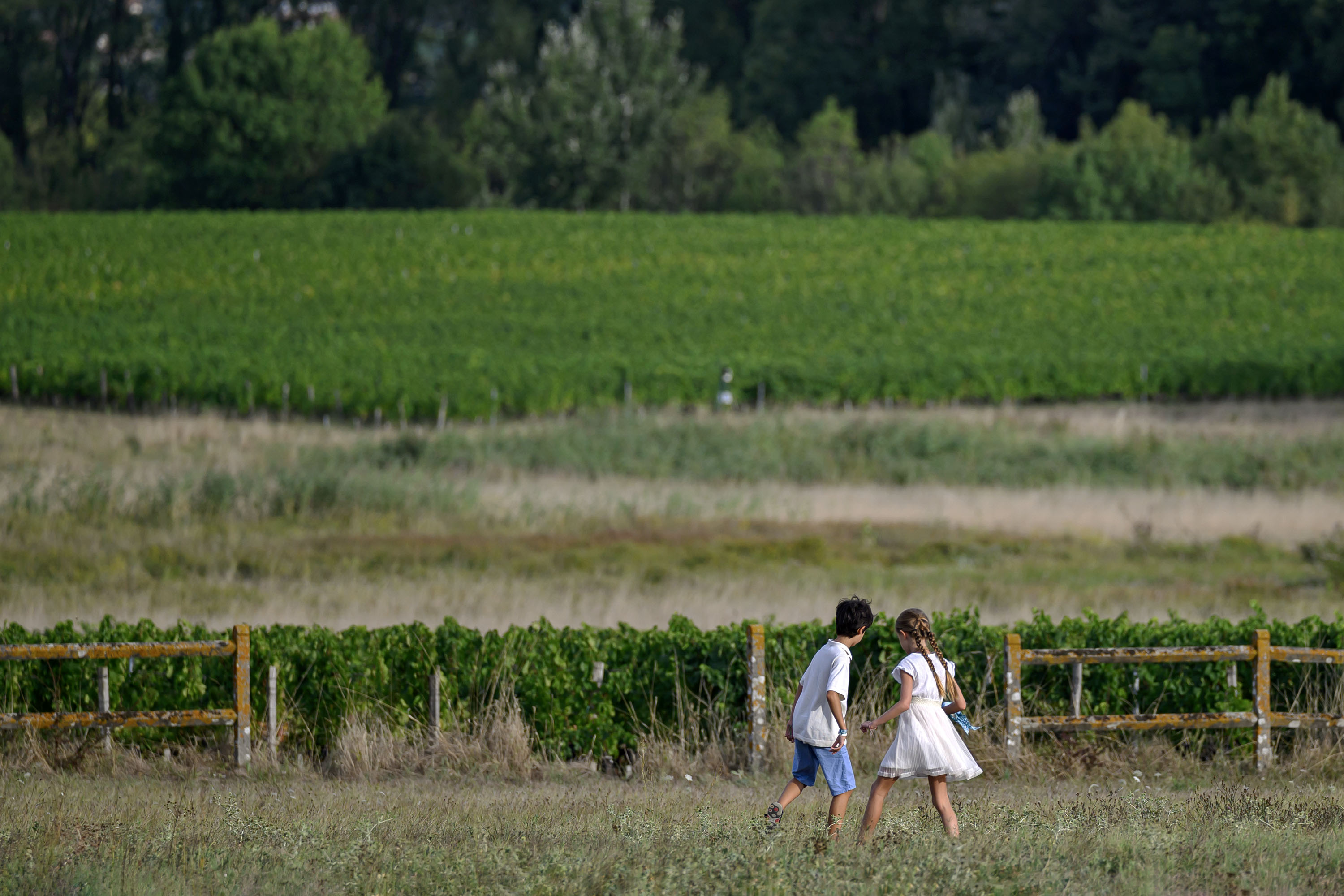 Château du Taillan - afterwork en Medoc Château du Taillan - afterwork en Medoc